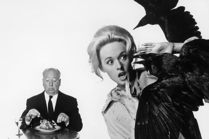 117081209_birds_358539b