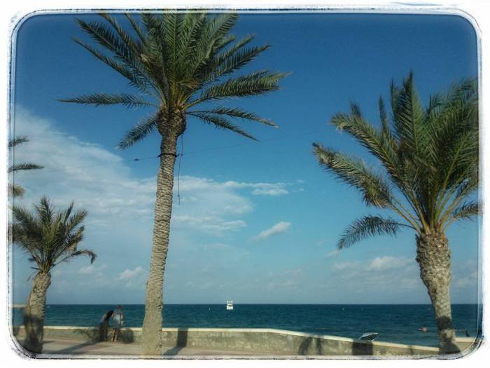 11880666_10207366659267275_2625333769420824755_n